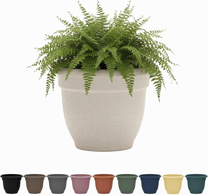 Bloem Ariana 6" Self-Watering Plastic Planter - Rolled Rim Indoor/Outdoor Garden Pot, Vanilla Bean | Amazon (US)