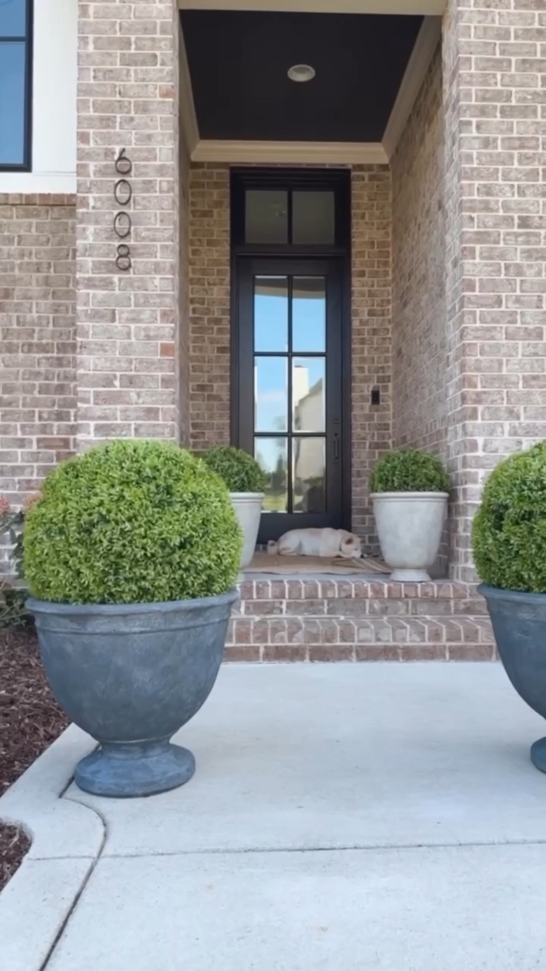 Grab these gorgeous planters for your porch, pool, or patio. They have drainage holes! I used faux boxwoods and linked the rug too
Walmart 


#LTKVideo #LTKSeasonal #LTKHome