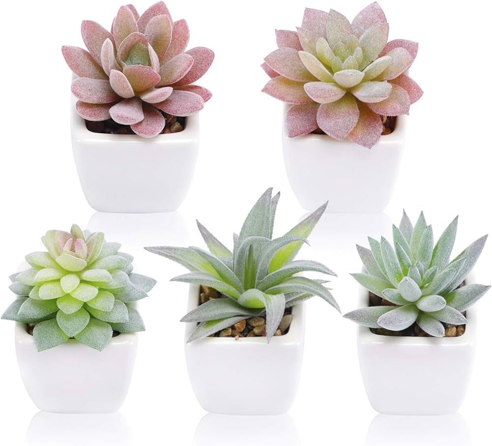 FUNARTY 5pcs Artificial Succulent Plants in White Ceramic Pots, Fake Small Fake Plants, Faux Mini... | Amazon (US)