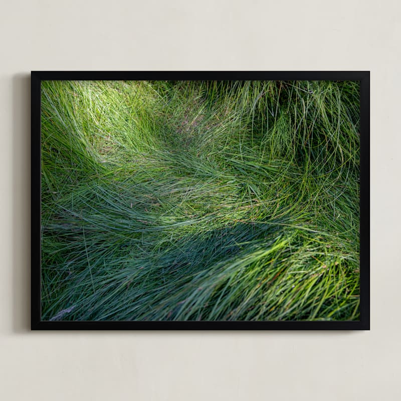 "A Deer Slept Here." - Photography Limited Edition Art Print by DENiSE CREW.. | Minted