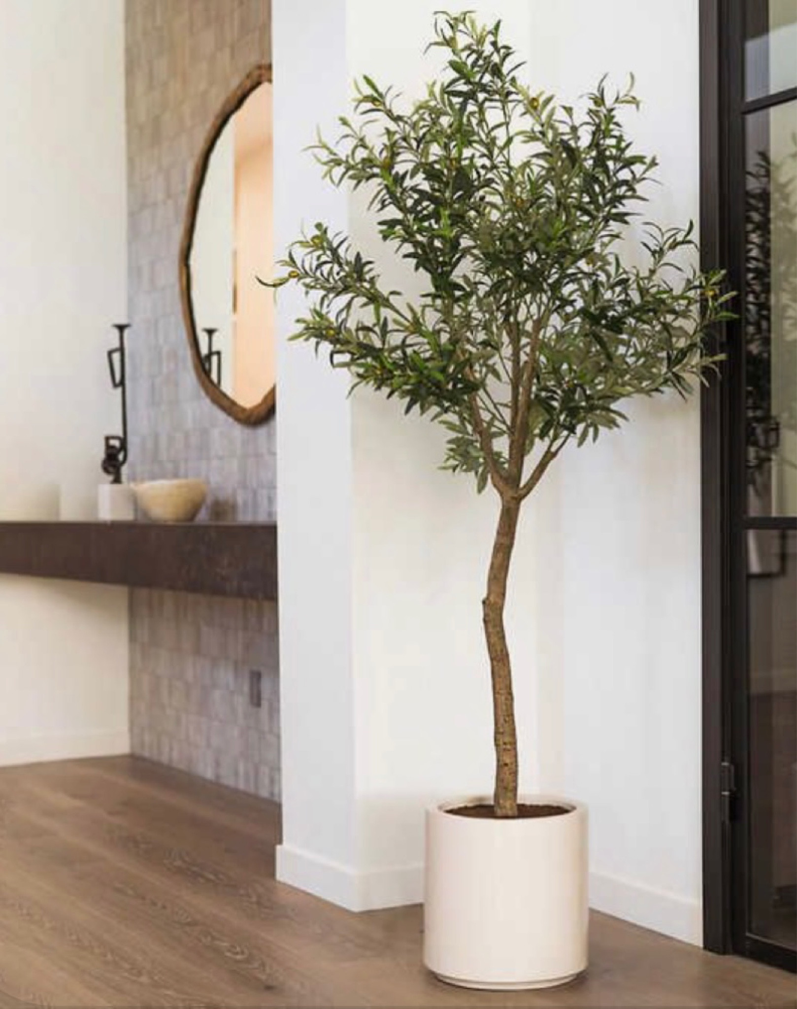 Olive tree, ceramic pots 
