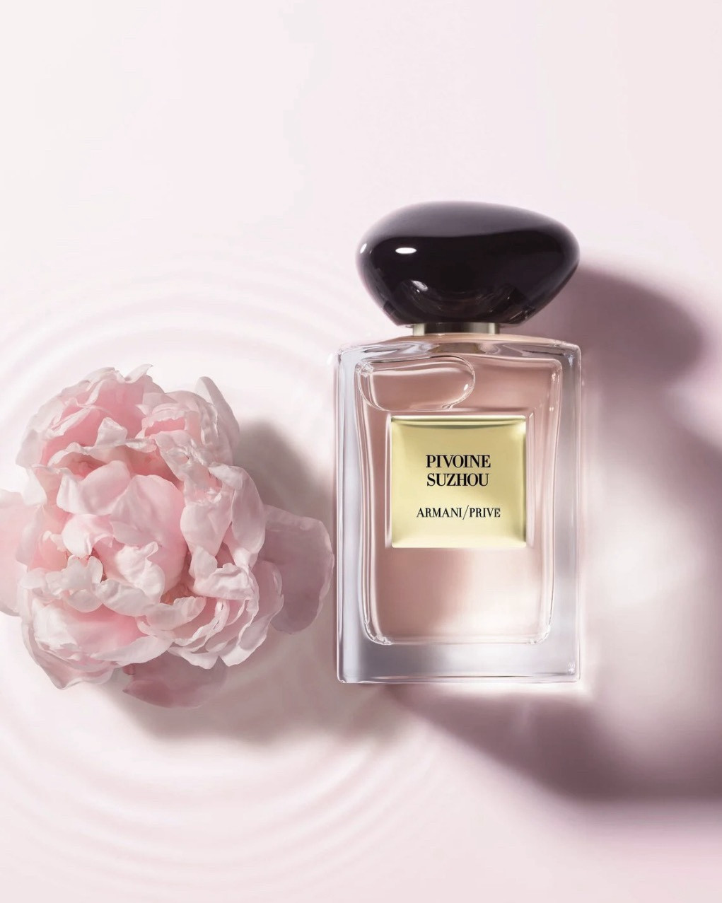 A softer more feminine fragrance I love is Pivione Suzhou. The floral def tops this fragrance, but I love the musky & spicy bottom notes.  Ayst gave! 

#LTKselfcare #LTKgrwm #LTKGiftGuide