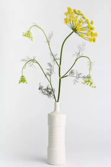 Middle Kingdom x Foekje Fleur Porcelain Ribbed Vase | Urban Outfitters (US and RoW)