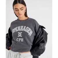 River Island Grey Long Sleeve Copenhagen Sweatshirt | River Island UK & IE