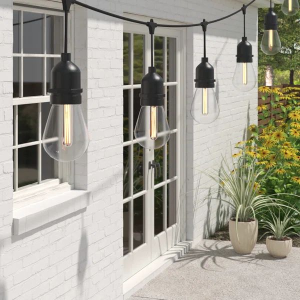 Wayfair Basics® 48' Outdoor 15 - Bulb Standard String Light | Wayfair Professional