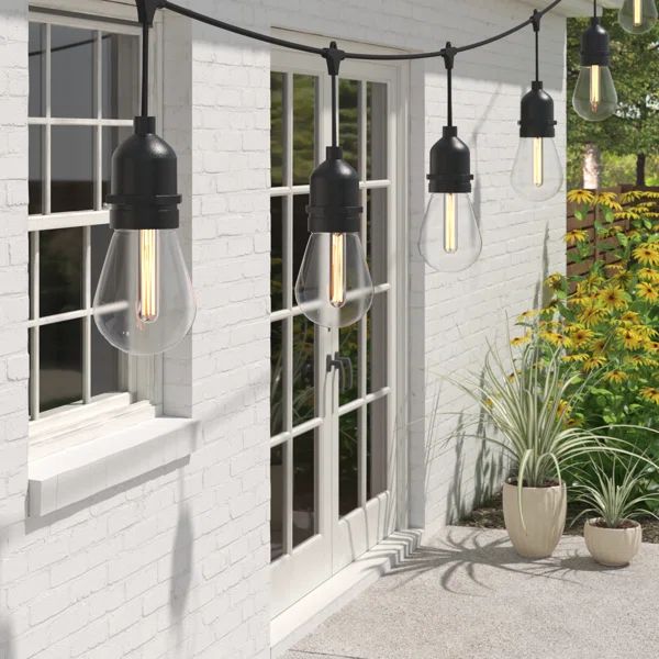 Wayfair Basics® 48' Outdoor 15 - Bulb Standard String Light | Wayfair North America