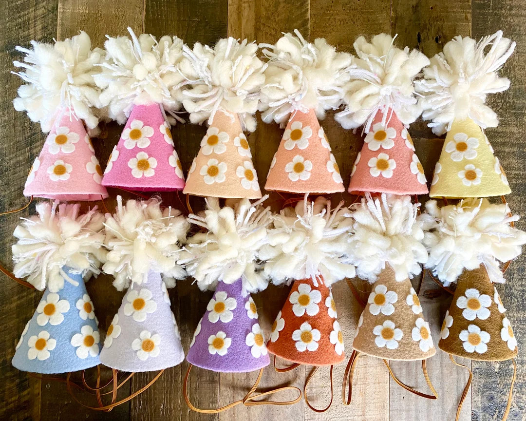 Minimalist Daisy Birthday Hat Groovy Party Kids Photoshoot - Etsy | Etsy (US)