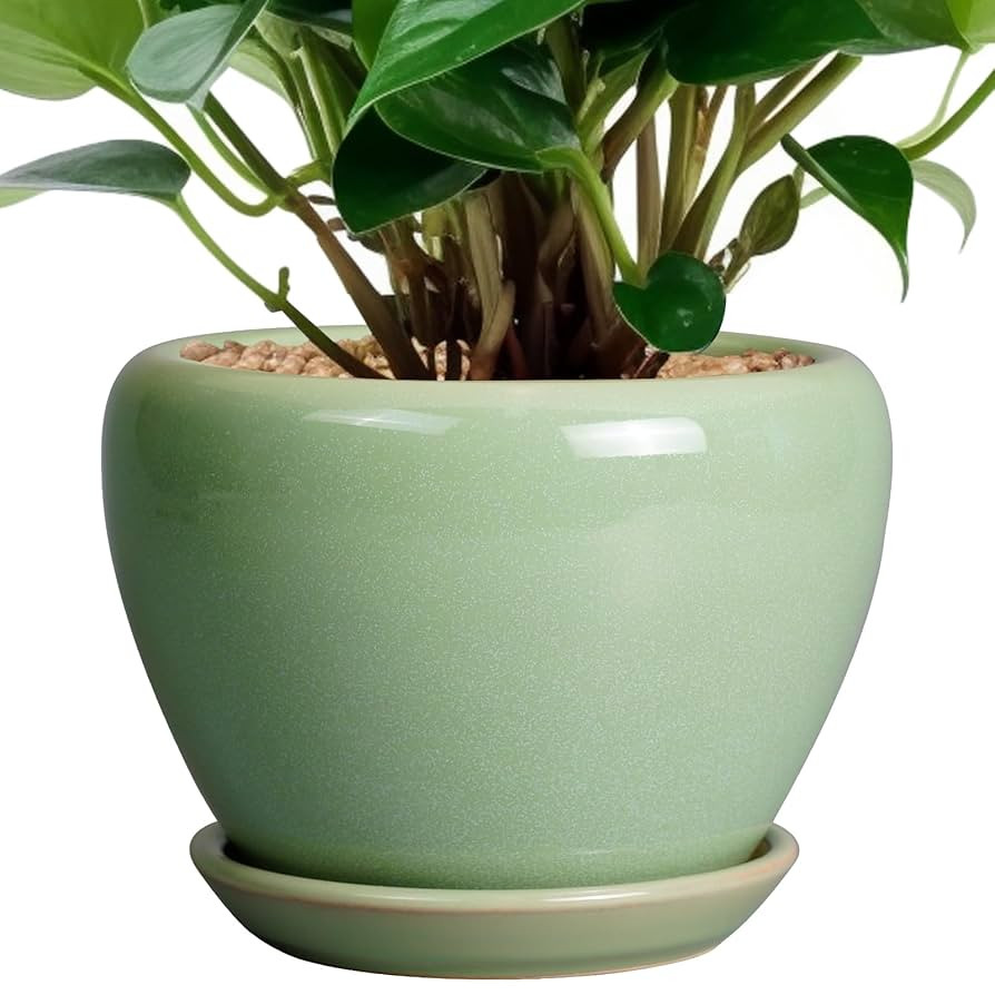 6 Inch Plant Pot - Ceramic Planter for Indoor Plants Round Planter Outdoor Plant Pot with Drainag... | Amazon (US)