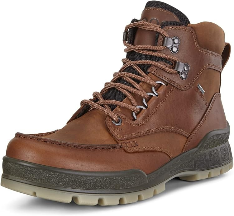 ECCO Men's Track 25 High Gore-tex Waterproof Hiking Boot, 8 US | Amazon (US)