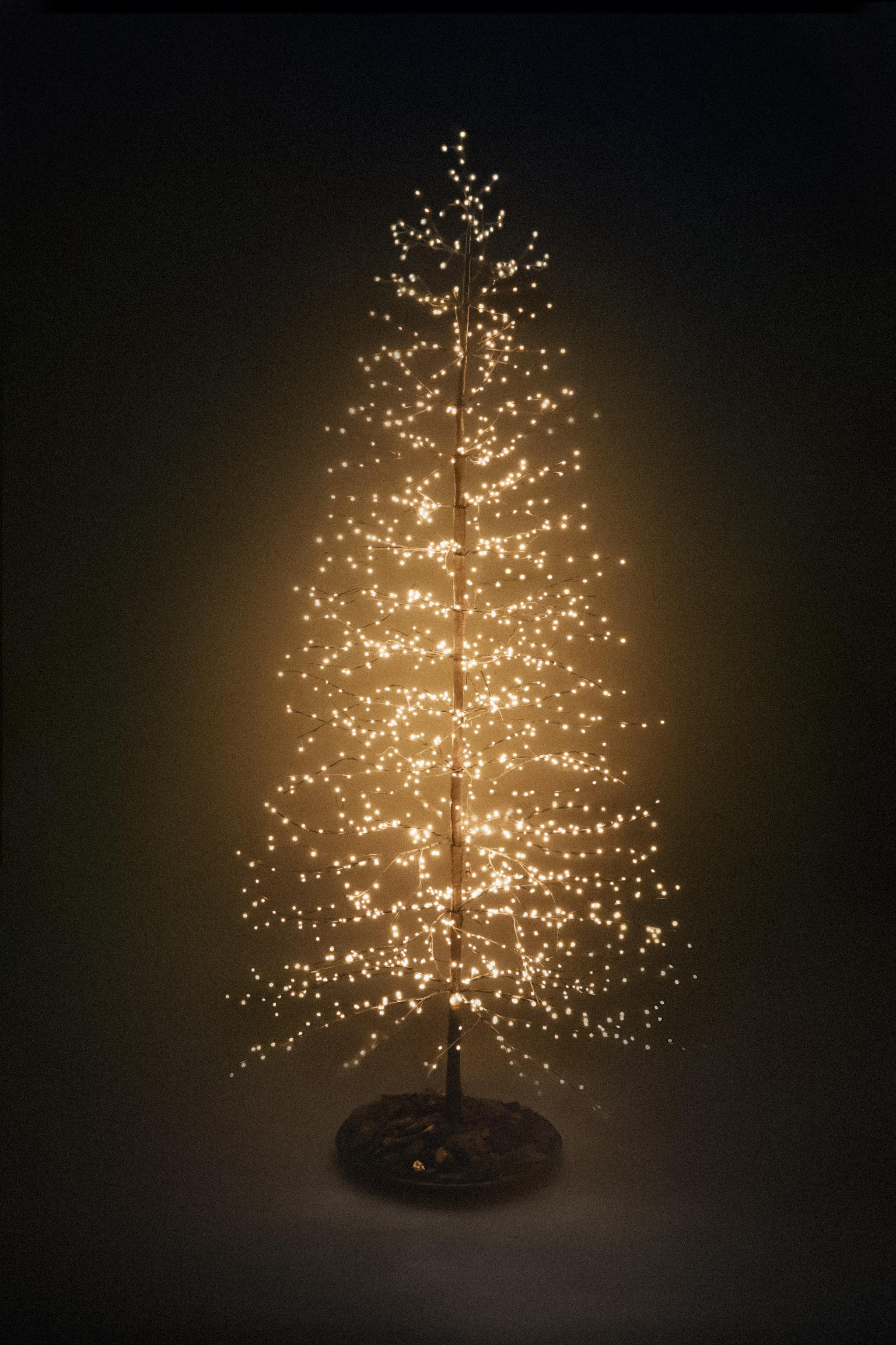 LED LIGHT CHRISTMAS TREE (98.4") | Zara US