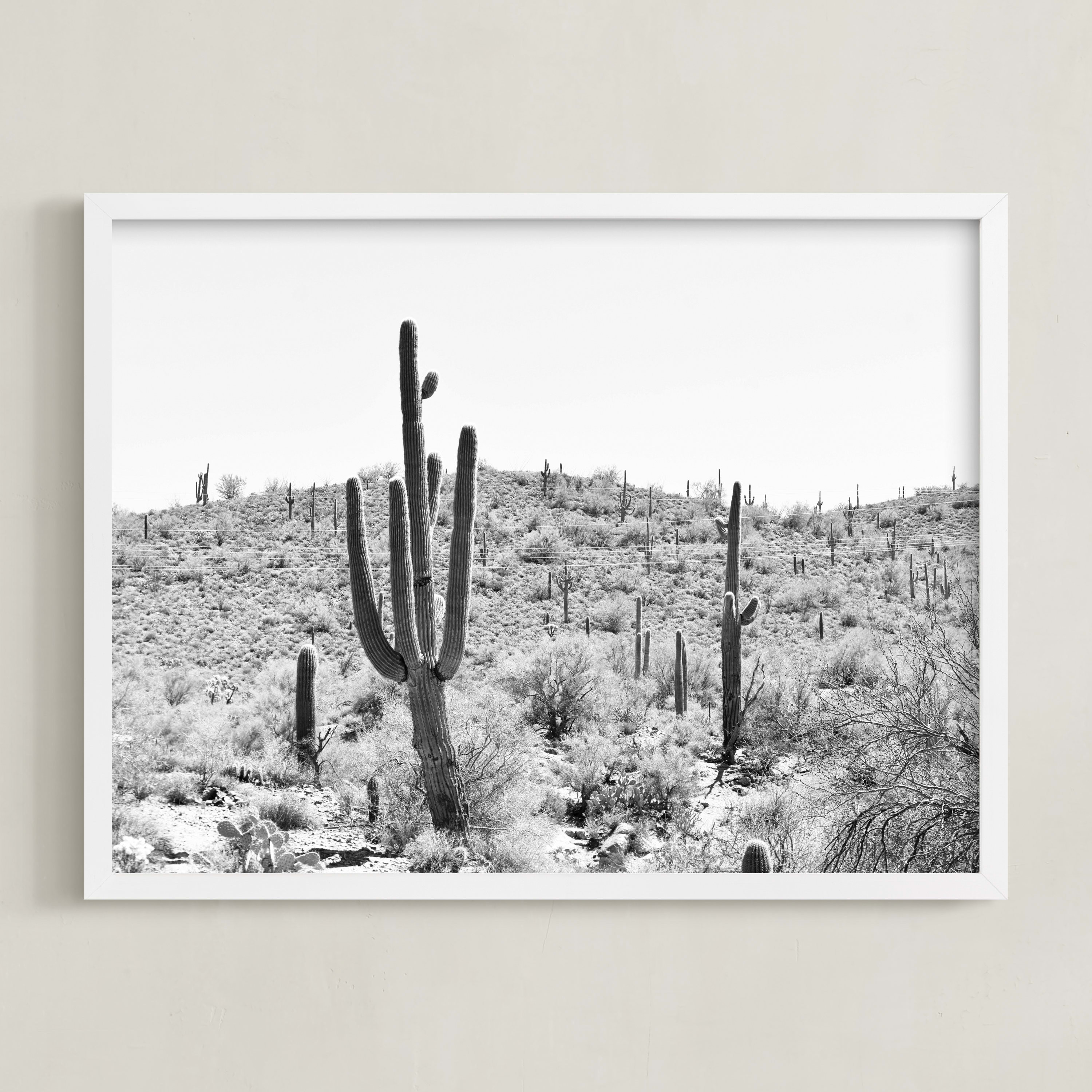 "Dusty Cacti" - Photography Limited Edition Art Print by Lisa Assenmacher. | Minted