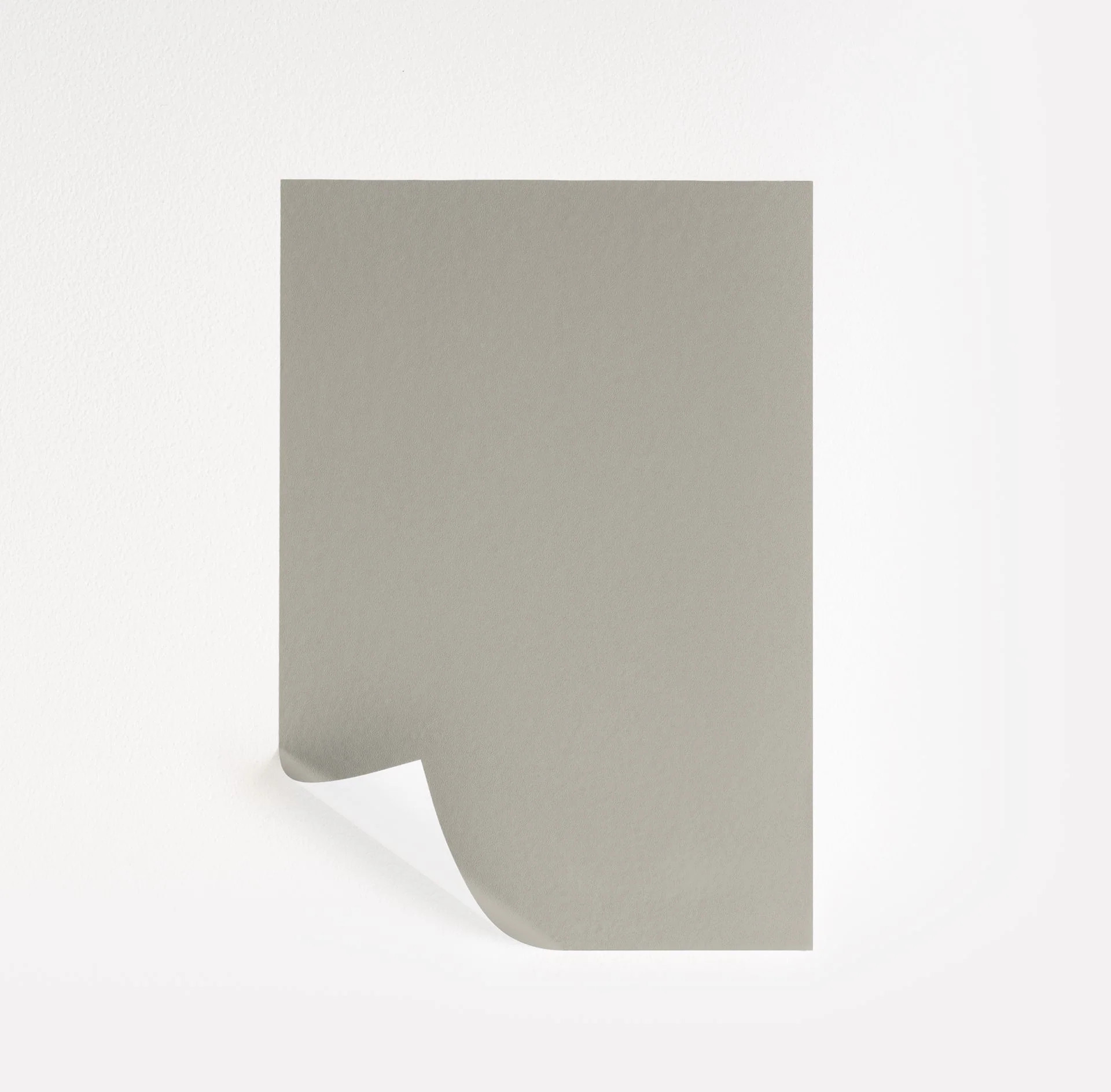 La Paloma Gray  Paint Sample | Samplize