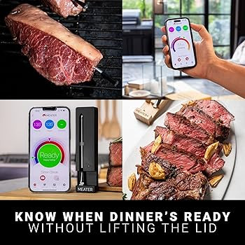 MEATER SE: 100% Wireless Smart Meat Thermometer | No Wires, No Fuss | 165ft Bluetooth Range | Dua... | Amazon (US)
