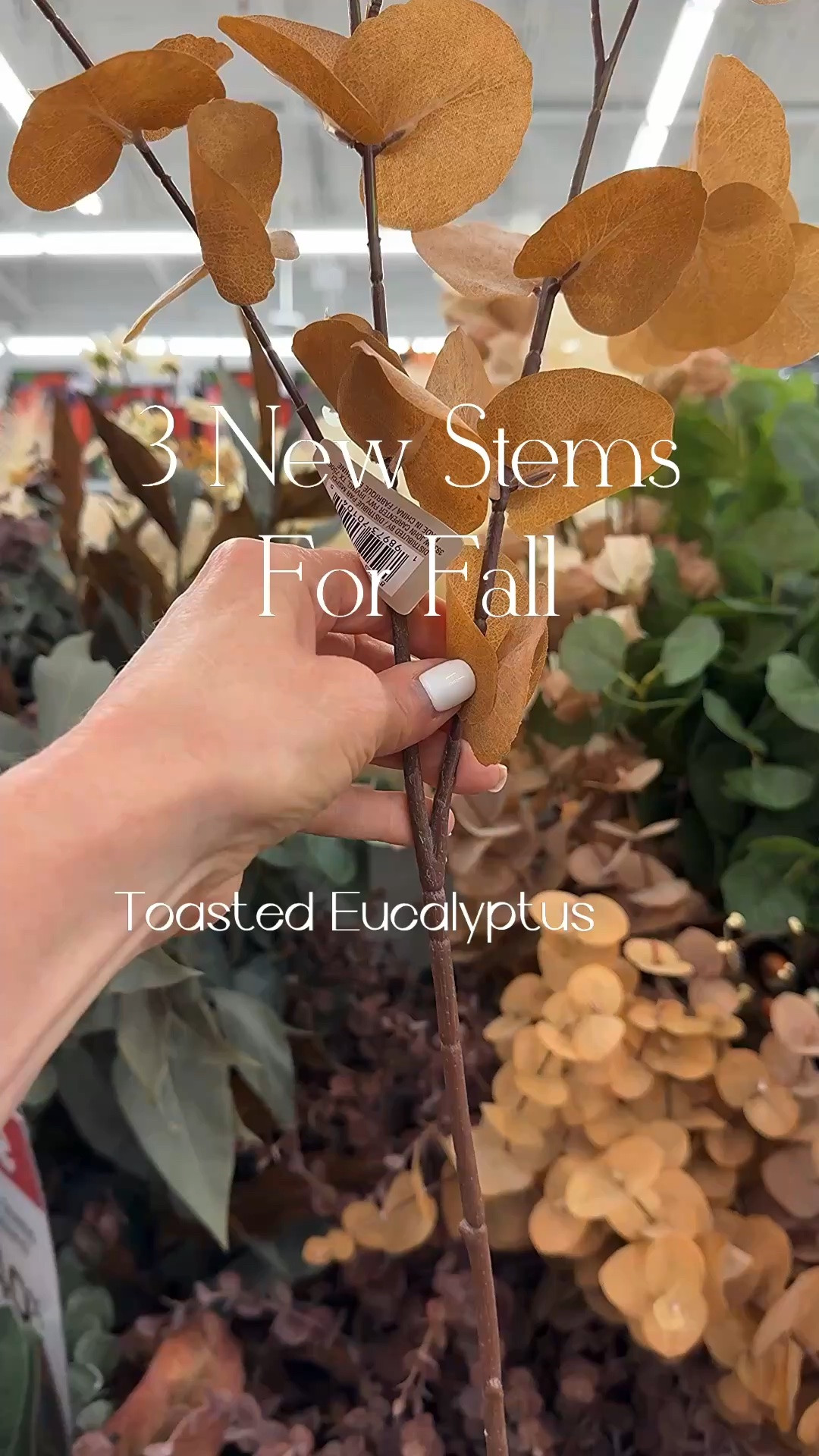I found 3 new beautiful fall stems!! I can’t decide which is my favorite 🤎🍂

Toasted Eucalyptus, Brown Hanging Locust, Burgundy Mini Hydrangea, fall stems, moody stems, cream scalloped vase, taupe vase, vintage wood pots

#LTKSeasonal #LTKstorytime #LTKHome