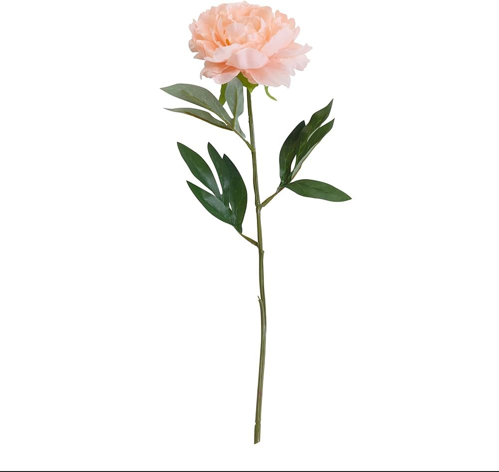 Blush Peony Artificial Flower Stem, Fake Flowers for Home Decoration, 6x3.5x18 Inch | Amazon (US)