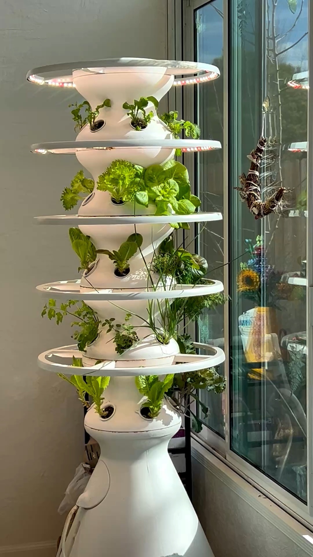 🥬  lettuce grow upkeep before Chloe’s party two weeks ago. Talking about how long I let the plants grow and why my romaine looks like alien fingers 🤭 👽 

You can get 15% off your @Lettuce Grow orders with code GrowKkGrow at checkout! 

#lettucegrow #gardening #hydroponic 

#LTKSeasonal #LTKfoodie #LTKHome