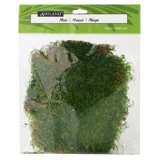 Ashland® Preserved Moss—105 Cu In Forest Green | Michaels® | Michaels Stores