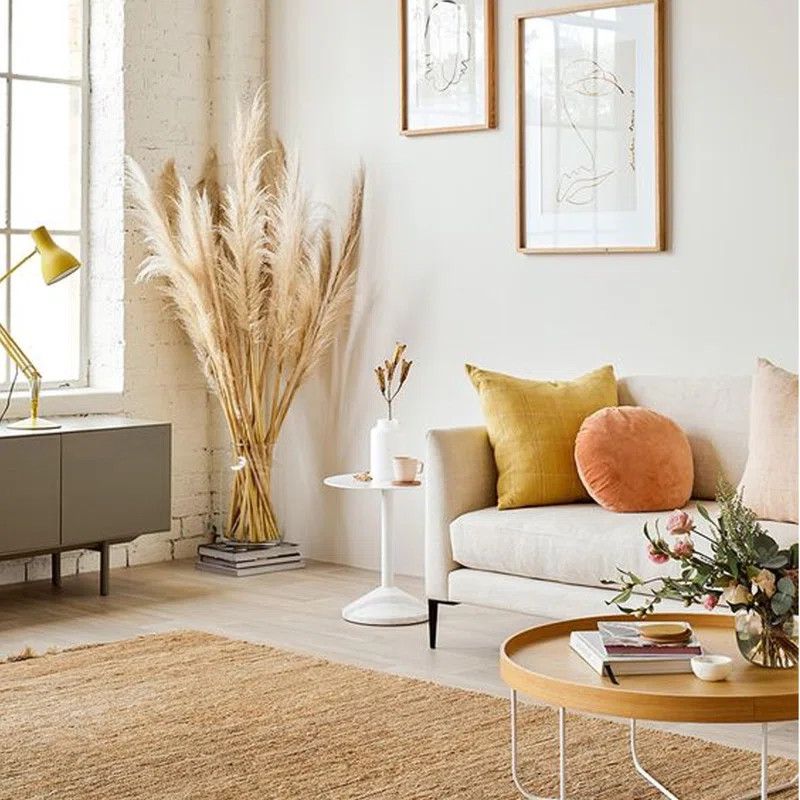 3 Preserved Pampas Grass Set | Wayfair North America