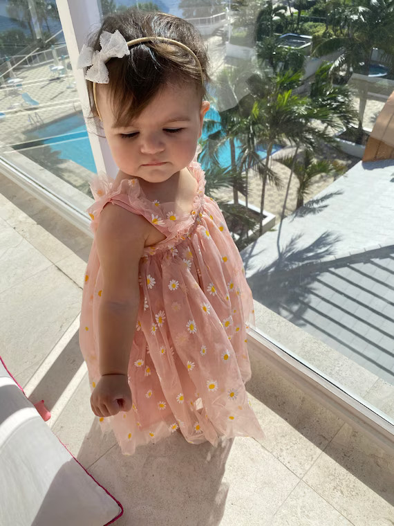 Baby Tulle Dress , Pink Tulle Dress , daisy dress, Princess dress, Flower Girl Dress, first birth... | Etsy (US)
