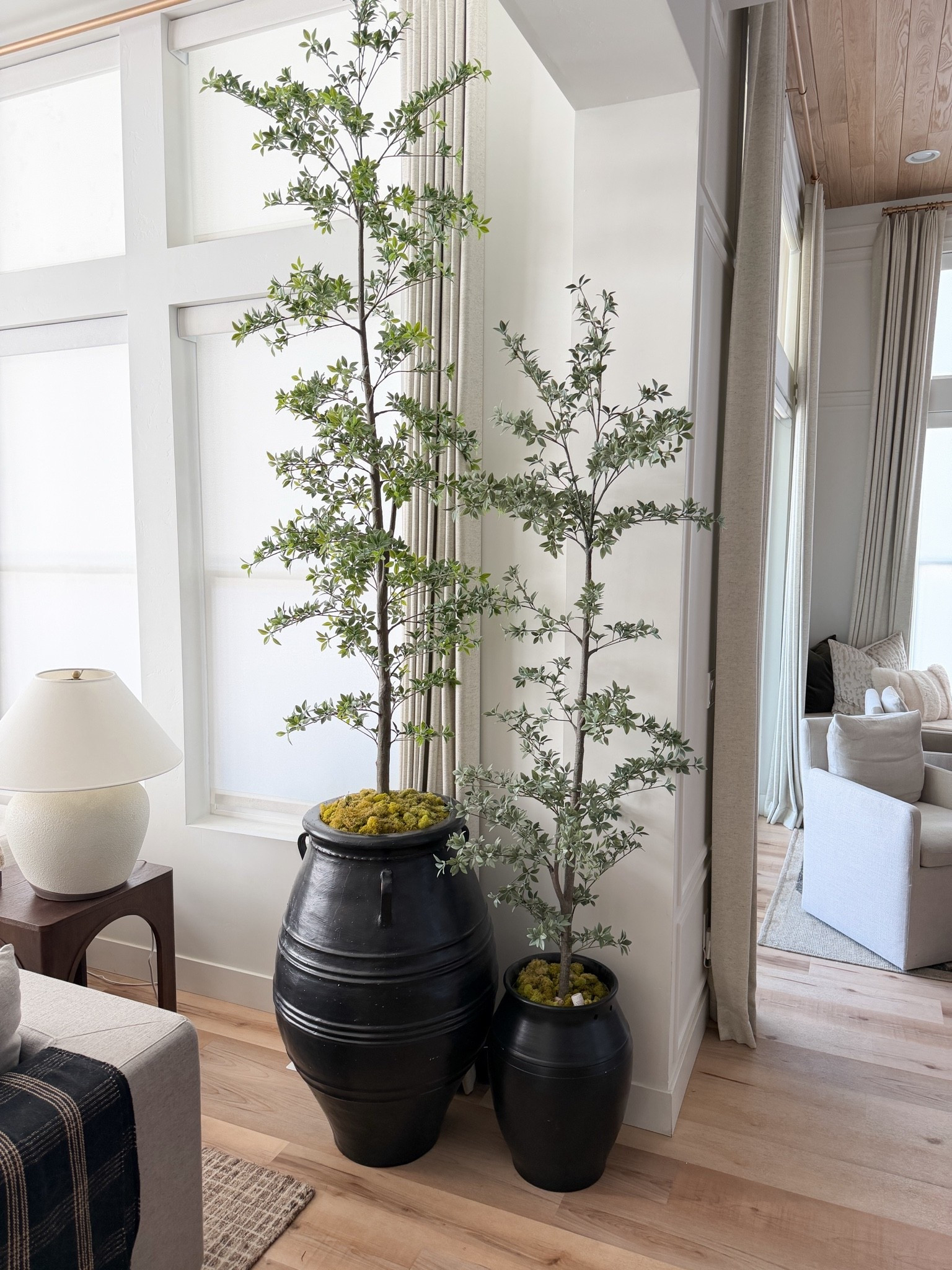 My favorite faux trees

#LTKHome