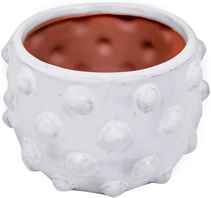 Creative Co-Op White Terracotta Bubbled Design Planter Pot | Amazon (US)