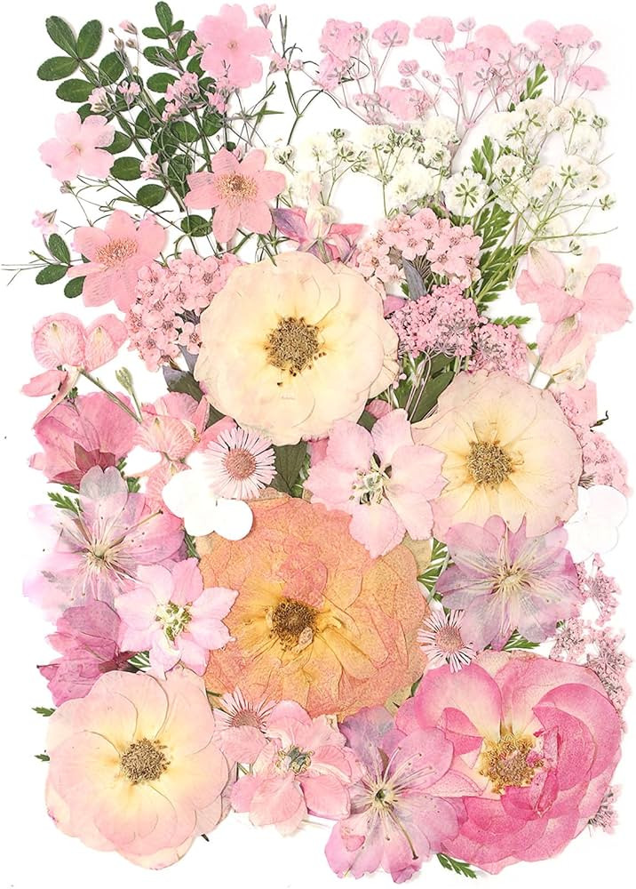 AHTONG 14 Types Pink Dried Pressed Flowers for Craft, Leaf Plant Herbarium for Resin Molds Jewelr... | Amazon (US)