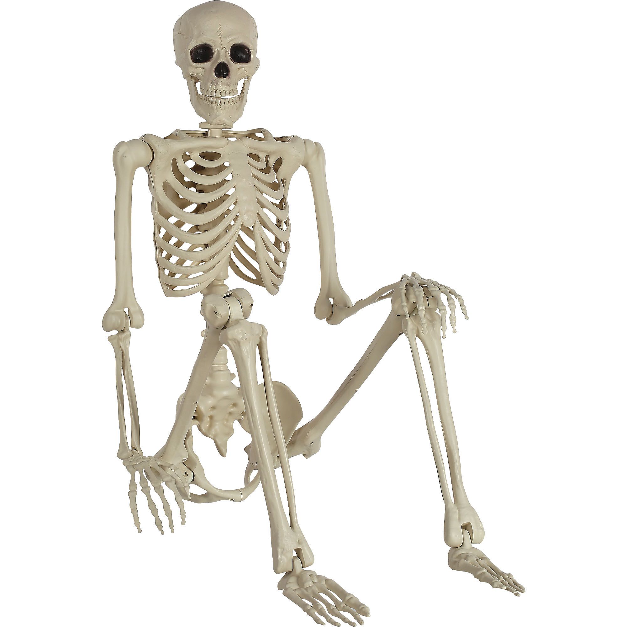 Seasons Life-Size Poseable 5ft Skeleton Halloween Decoration - Walmart.com | Walmart (US)