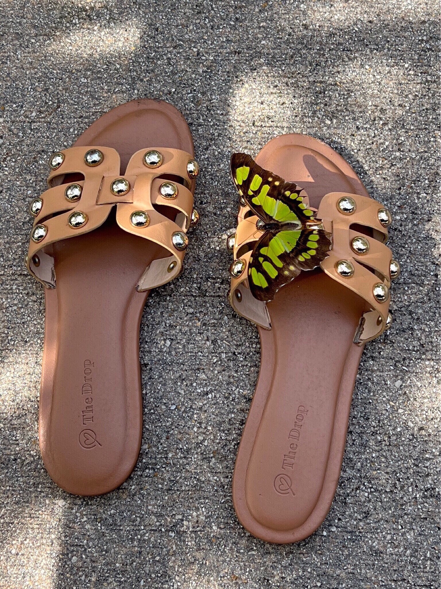 My beautiful flat from Amazon. 



#LTKshoecrush #LTKstyletip