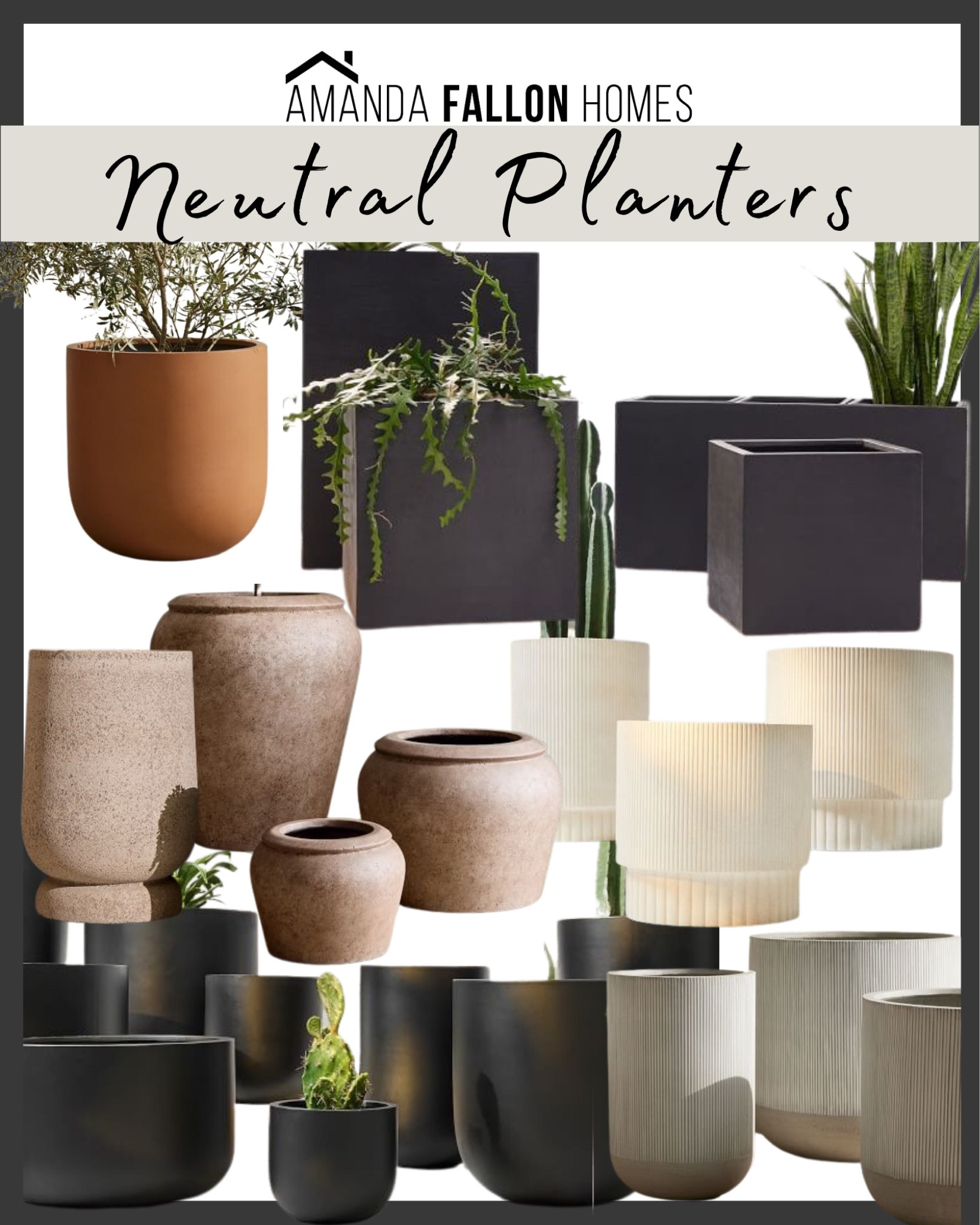Gorgeous neutral planters from #WestElm 😍

Pots. Planters. Front porch decor. Backyard decor. 

#LTKhome #LTKFind #LTKSeasonal