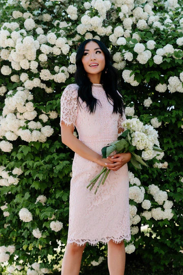 Lace Sheath Dress - Pink | Rachel Parcell