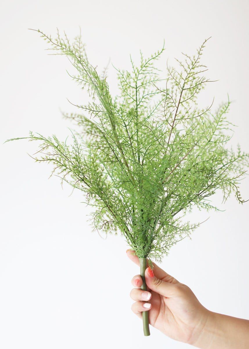 Real Touch Plastic Asparagus Fern | Afloral (US)