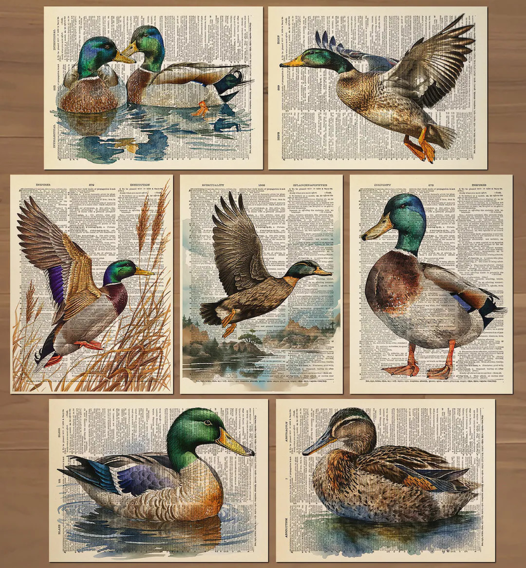 Mallard Duck Art Print Set of 7 Ducks Wall Art Ducks Painting Ducks Painting Gift Vintage Duck Il... | Etsy (US)