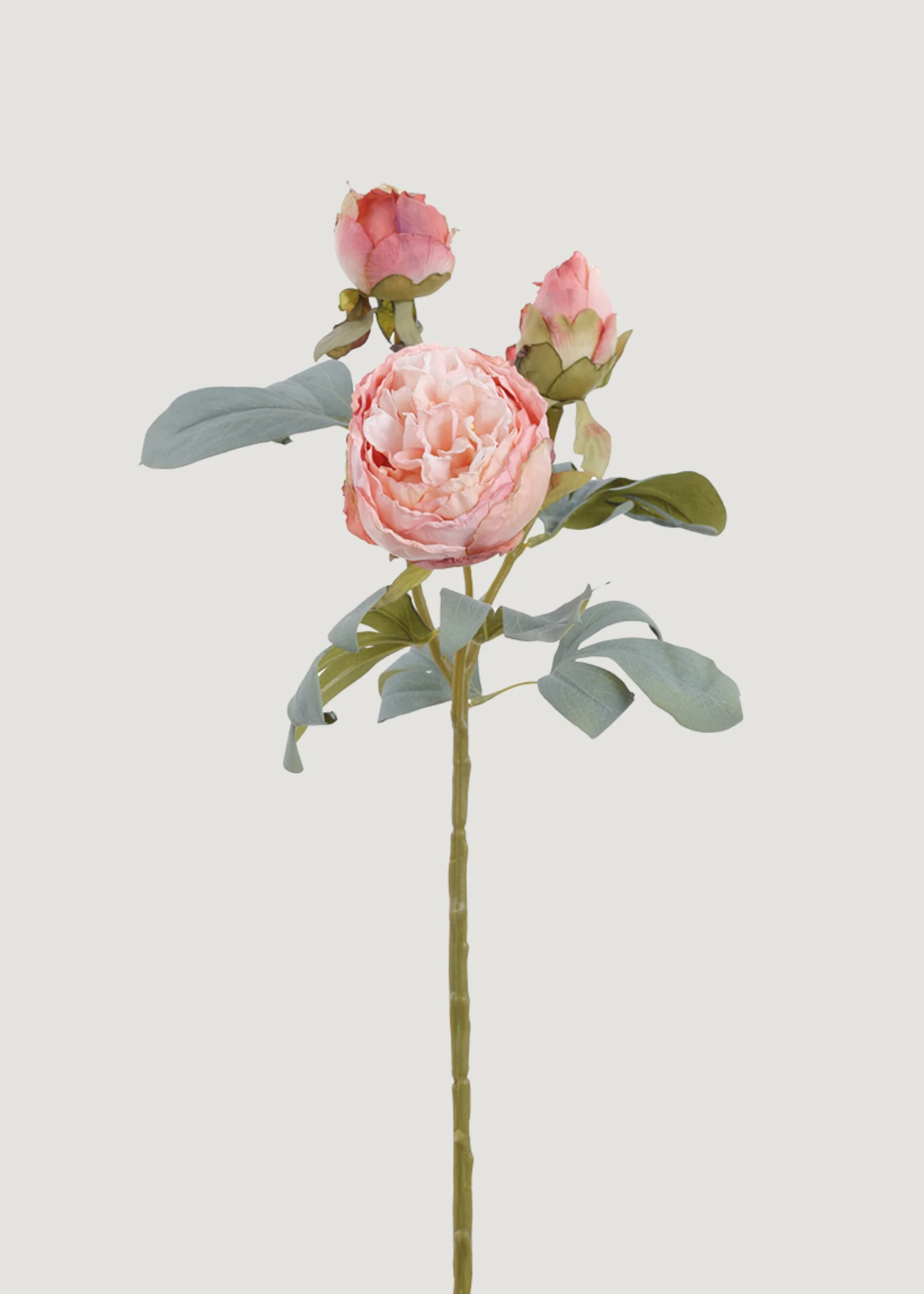 Pink Faux Peony with Dried Look | Artificial Botanicals at Afloral | Afloral