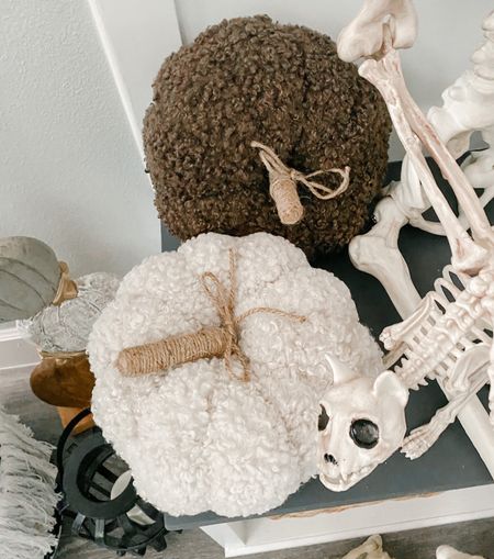 Pottery barn dupe Sherpa soft pumpkin pillows, I have brown and cream also linking some other fall and Halloween trending pillows for the home. 

Trending fall and Halloween decor • fall pillows • Halloween pillows • pottery barn style • looks for less 

#looksforless #potterybarndupe #pumpkinpillow #sherpapumpkin #halloweenpillow #ghostpillow #skeletons  

#LTKhome #LTKSeasonal #LTKHalloween