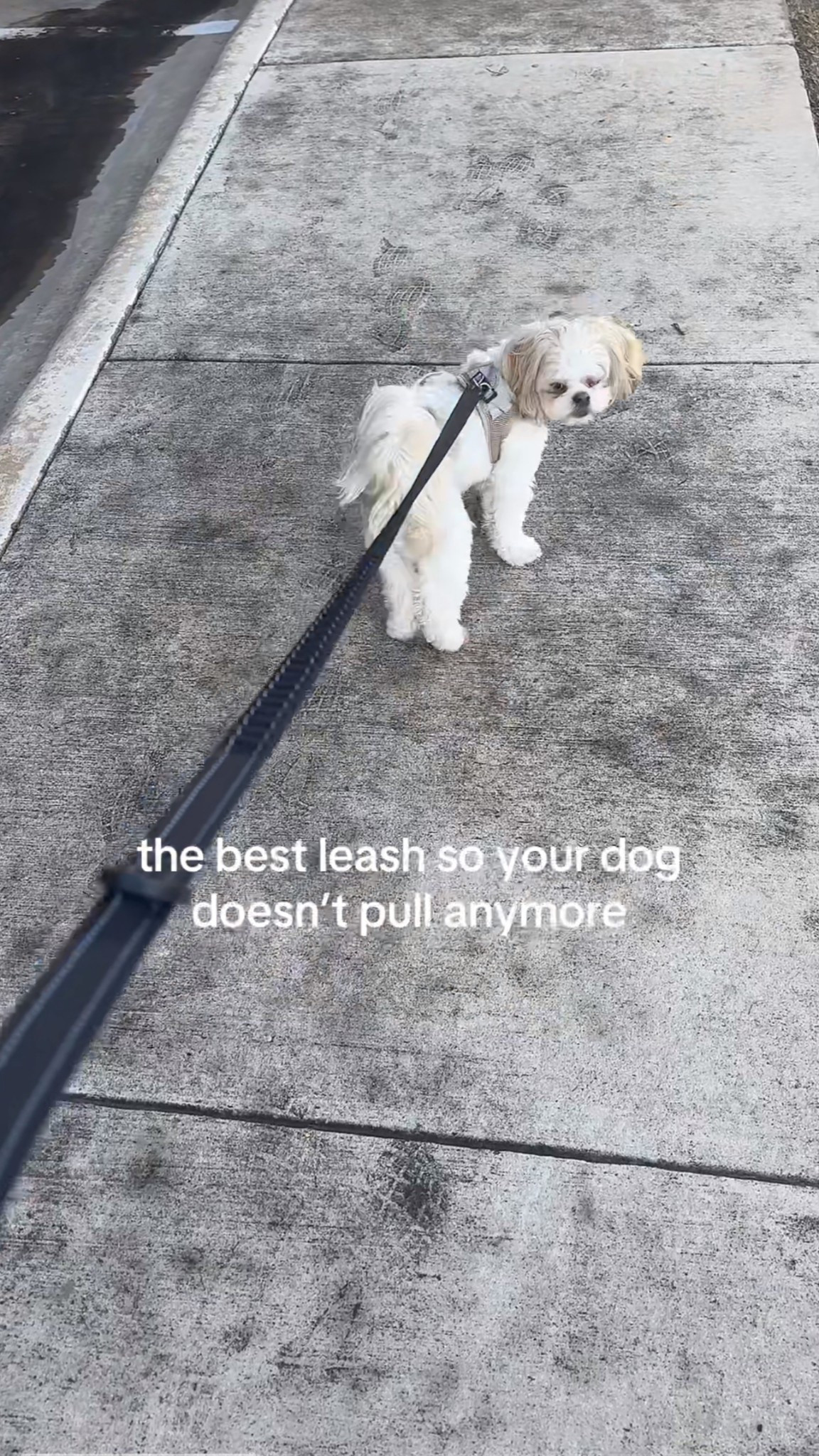 #LTKFamily #LTKActive #LTKFindsUnder100