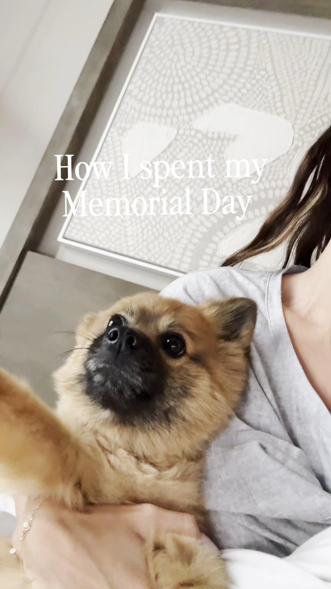 A very productive day .. how did you spend yours? 

#LTKHome #LTKStyleTip #LTKFindsUnder50