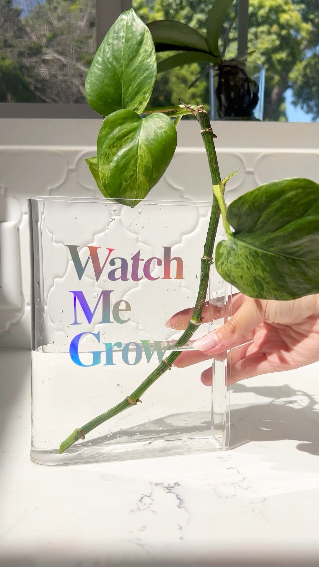 Customizable book vase for flowers or propagations 

#LTKHoliday #LTKfindsunder50 #LTKhome