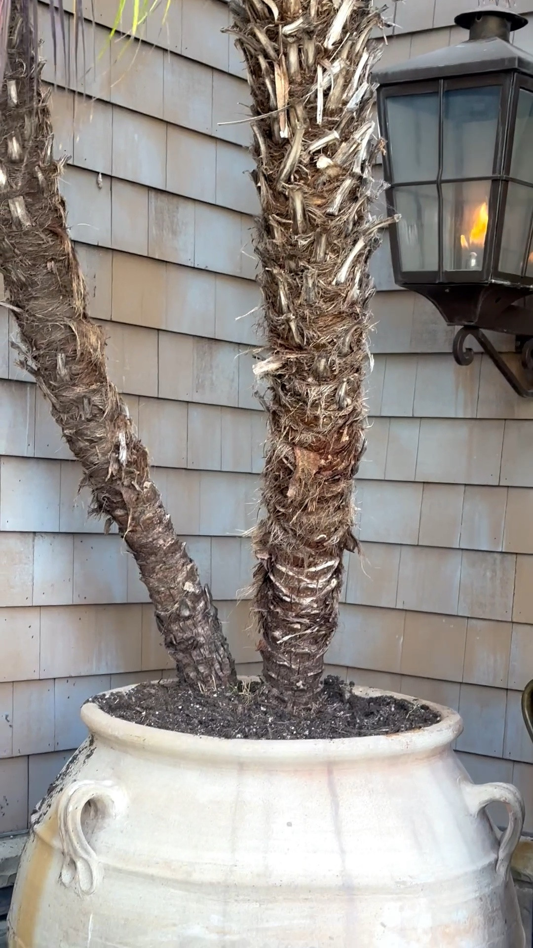 Thinking about refreshing your outdoor space or front porch? A beautiful oversized planter is always a great place to start. I love the organic, timeworn texture of this one—it brings so much character and makes the greenery feel instantly more elevated. Paired with a classic lantern-style wall sconce, it creates a warm, timeless entrance with effortless curb appeal.

#OutdoorPlanter #FrontPorchDecor #OutdoorDecor #WallSconce #LanternSconce #CurbAppeal #FrontDoorDecor #OutdoorLiving #HomeExterior #HomeDecor

#LTKdayinmylife #LTKHome