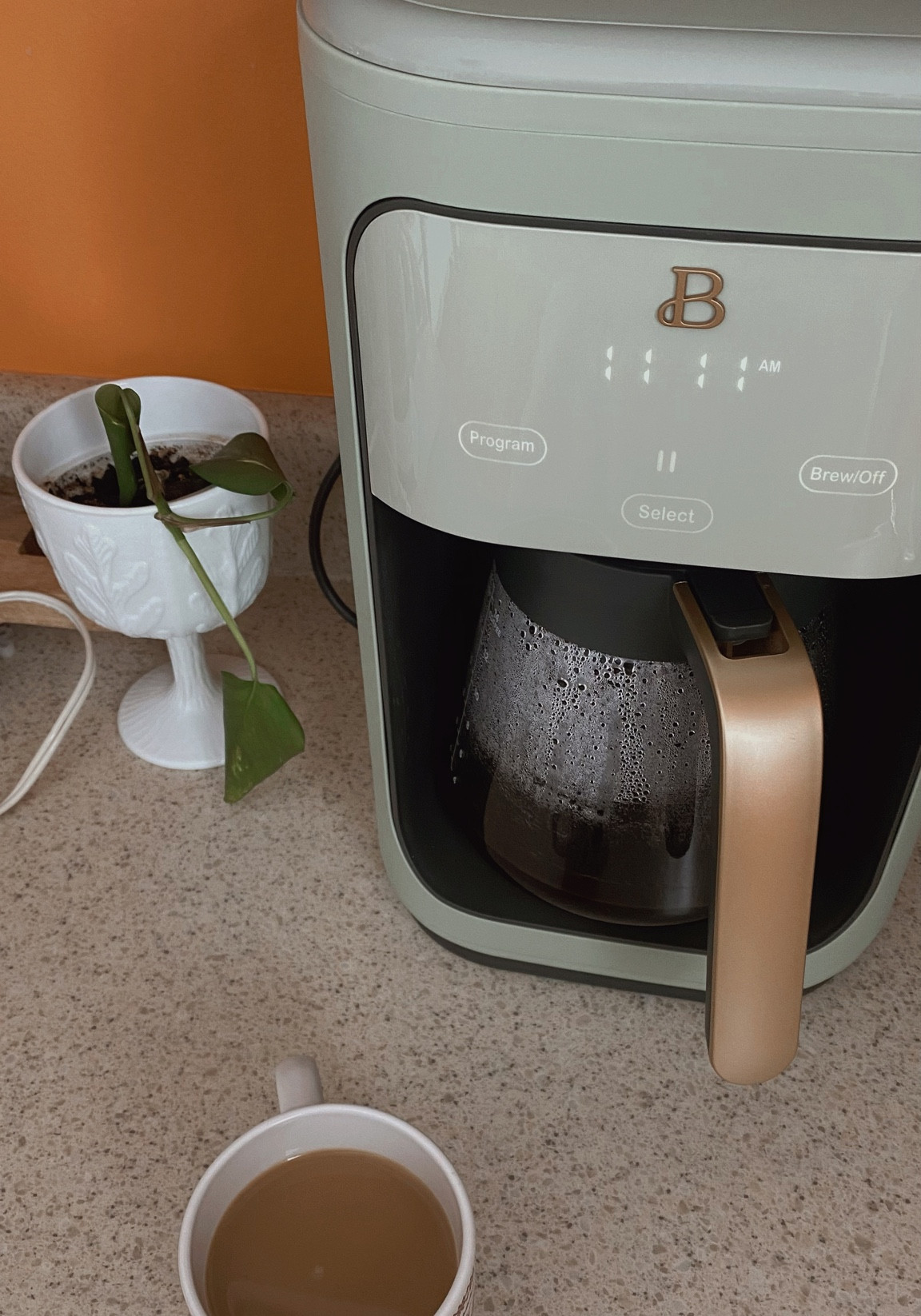 Why can’t coffee pots be pretty, too? 🌿🤍 

#LTKunder100 #LTKhome #LTKfit