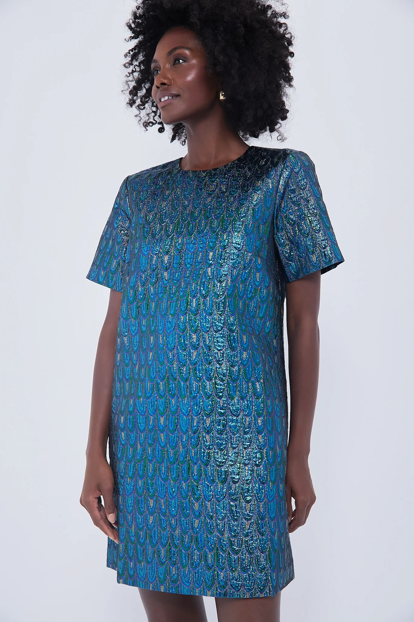 Pavo Jacquard Mae Dress | Tuckernuck (US)
