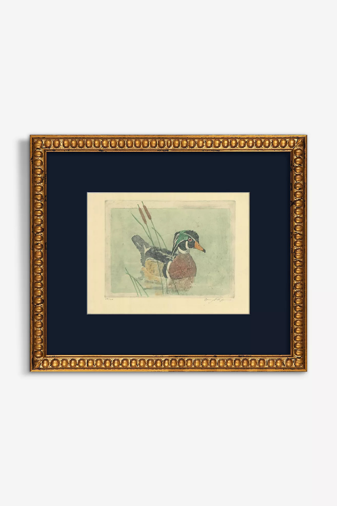Wood Duck Wall Art | Anthropologie (US)