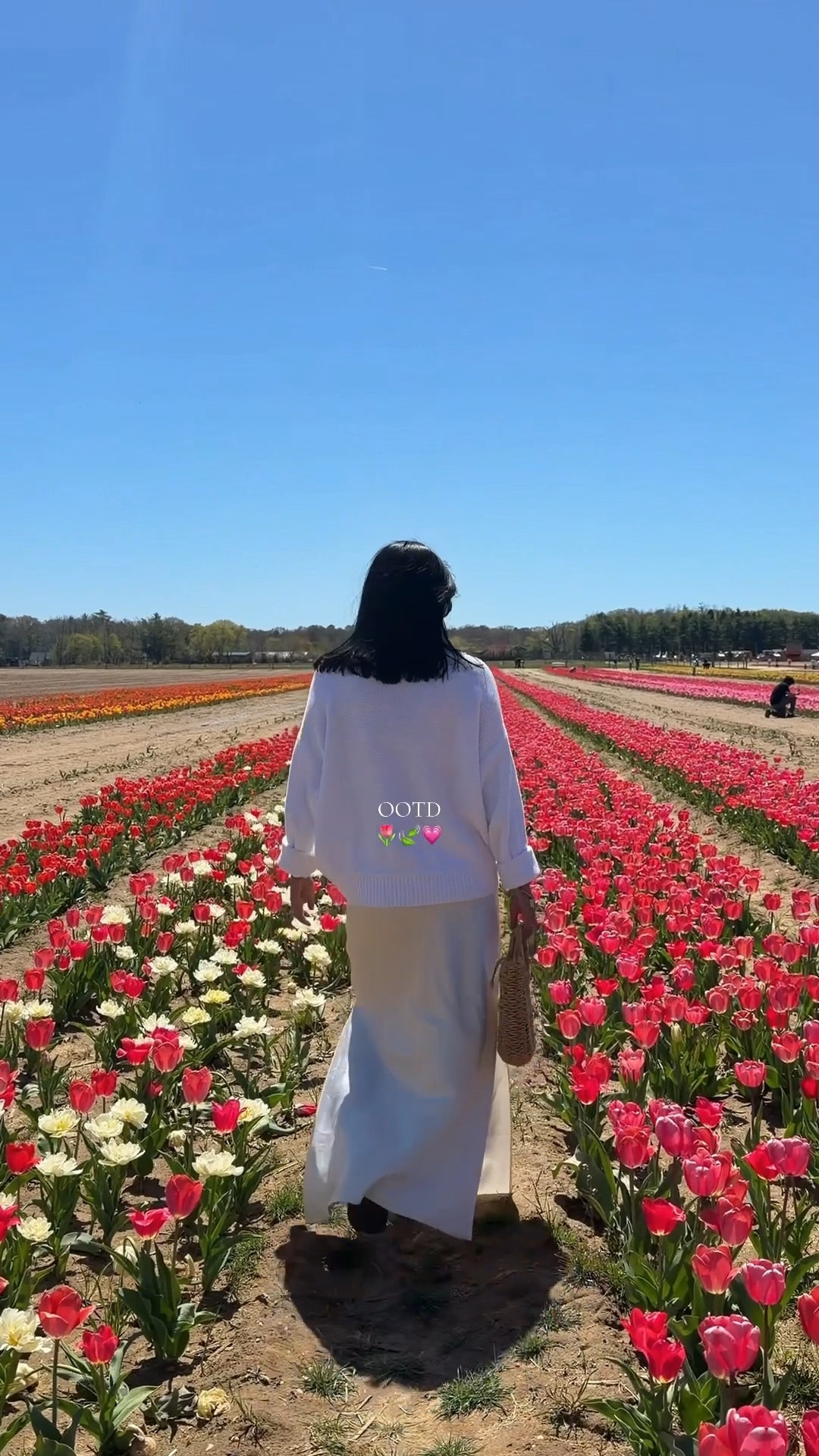 Tulip festival outfit idea ! 🌷🌸🍃

#LTKootd