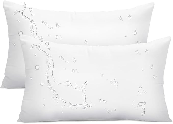 Ashler Outdoor Pillow Inserts, 12x20 Waterproof Throw Pillows Pack of 2, Outdoor Pillows Water-Re... | Amazon (US)