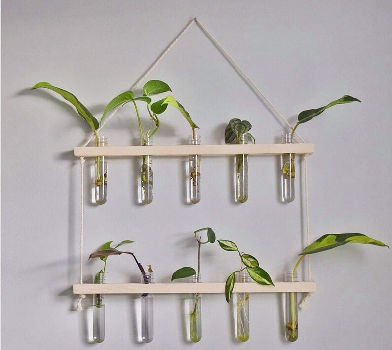 Propagation Station 10 | Etsy (US)