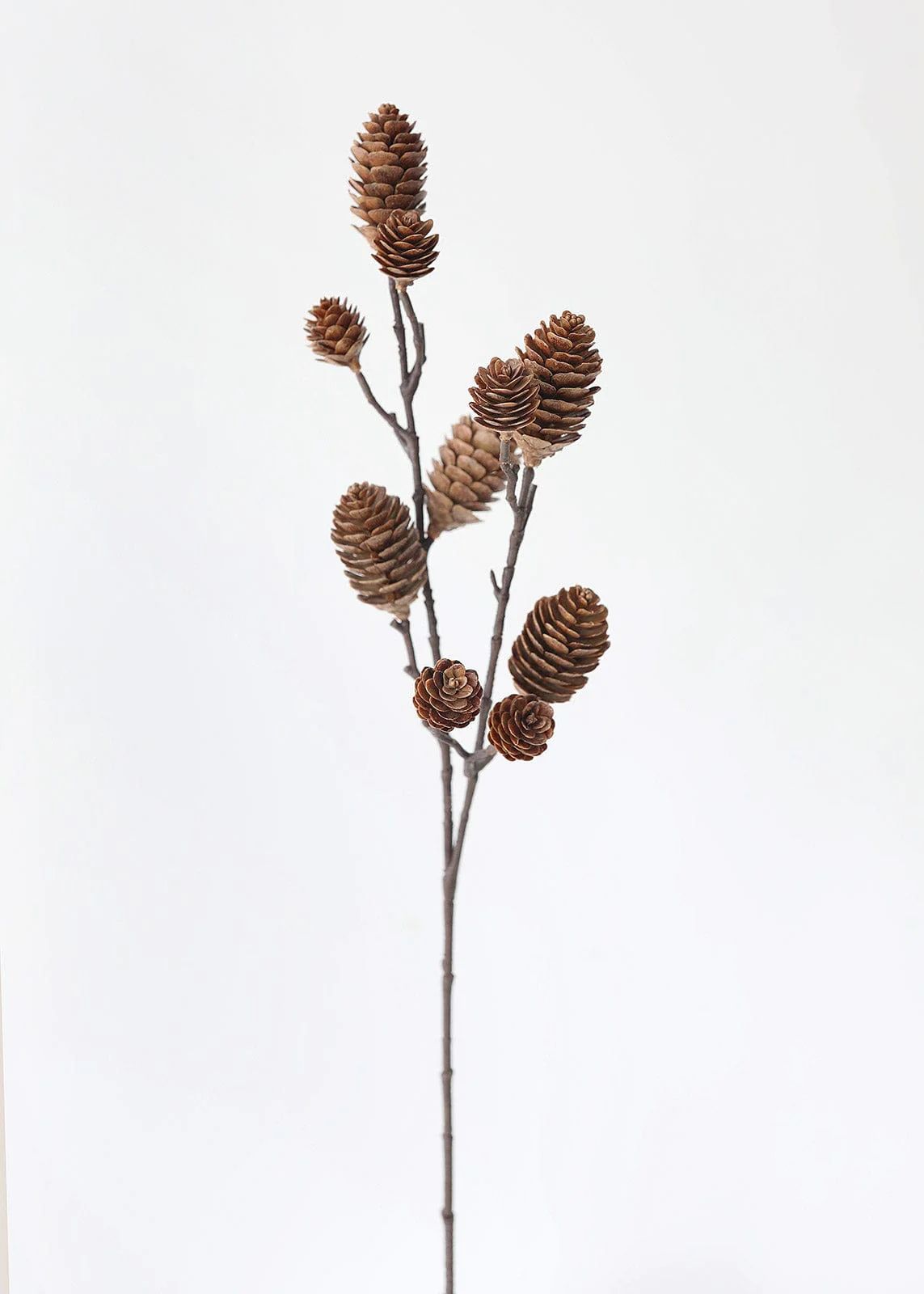 Fake Branch Stem with Pine Cones | Shop Holiday Decorations | Afloral | Afloral