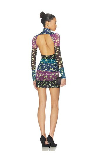 Lavinia Dress in Floral Stripe | Revolve Clothing (Global)