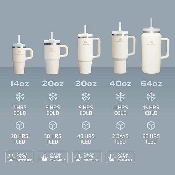 Stanley Quencher H2.0 Tumbler with Handle and Straw 30 oz | Flowstate 3-Position Lid | Cup Holder... | Amazon (US)