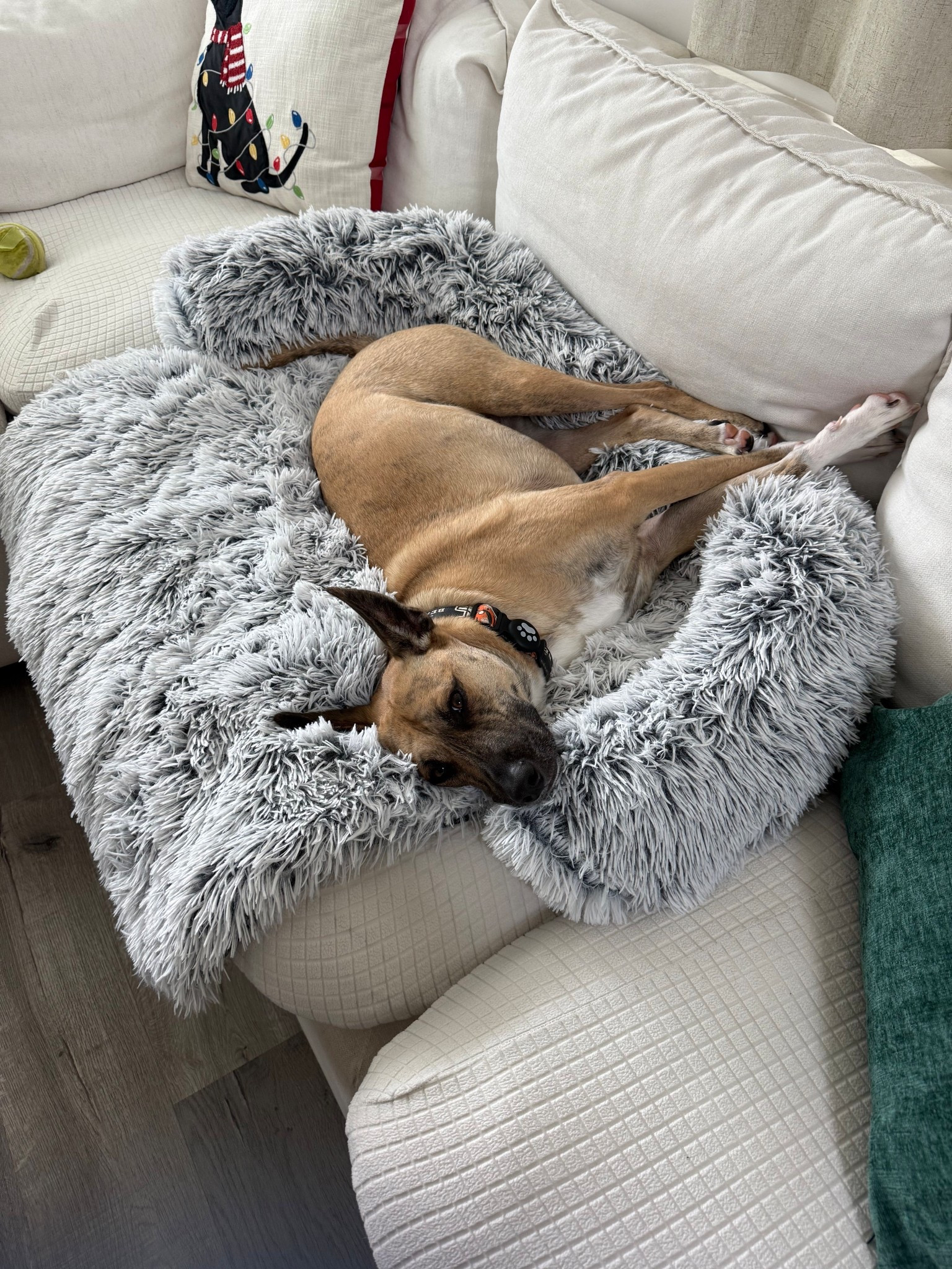 Obsessed with her new Black Friday find

#LTKCyberWeek #LTKSaleAlert #LTKHome