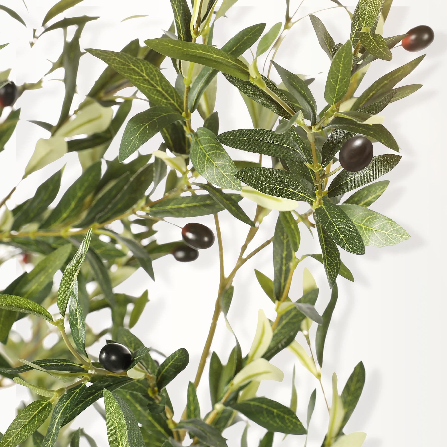 Olive Tree 6ft - Olive Trees Artificial Indoor with Large Olive Branches and Lifelike Fruits - Fa... | Amazon (US)