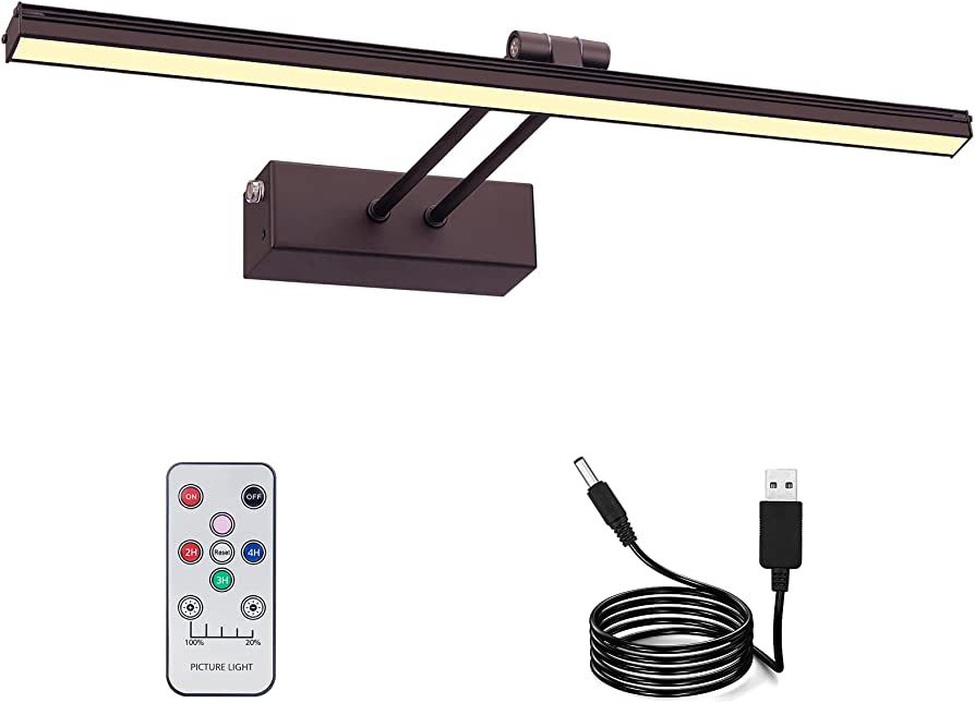 RAIFOOLLY Picture Lights for Paintings,Wireless Picture Light with Brightness Dimmable,16 in Rech... | Amazon (US)